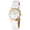 Women's Classic 24mm White Watch With Easy to Read Numerals