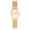 Womens 30mm Wafer Slim Gold Plated Watch with Mesh Band