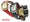 Group shot- (left to right) Red, Blue, Brown, and Black